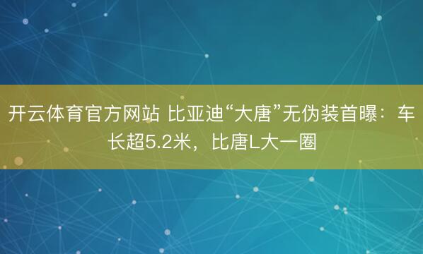 开云体育官方网站 比亚迪“大唐”无伪装首曝：车长超5.2米，比唐L大一圈